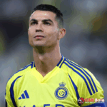 banner pbn