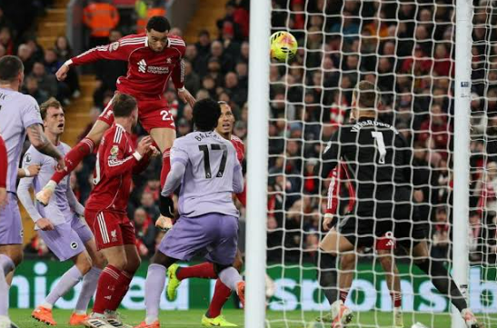 liverpool vs brighton di anfield